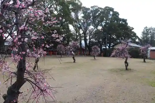 美奈宜神社(福岡県)