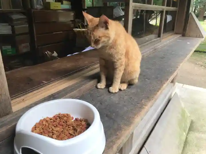 伊佐須美神社の動物