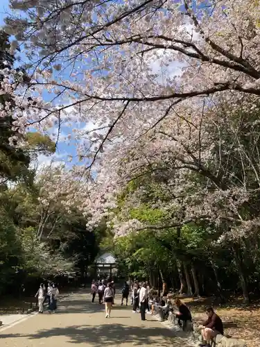 鶴岡八幡宮の自然