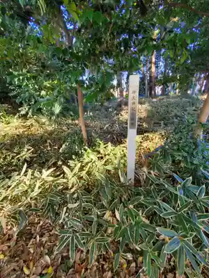 浅間神社（千駄塚）(栃木県)