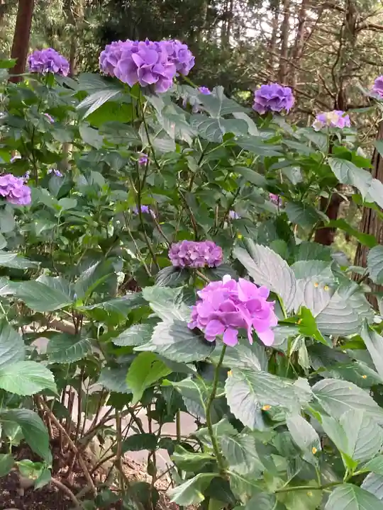 牛伏寺(長野県)