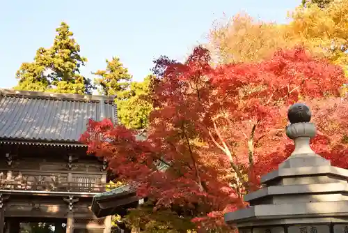 高尾山薬王院(東京都)