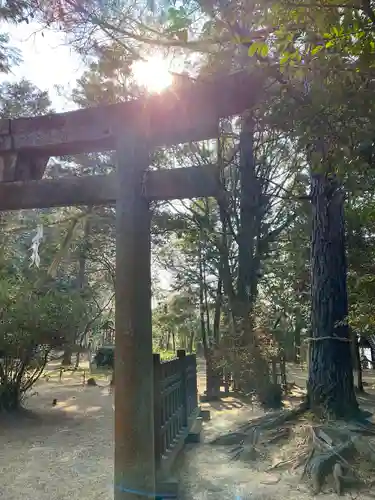 窪八幡宮の鳥居