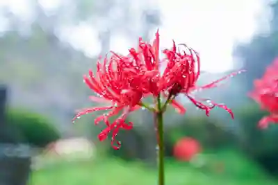 南原寺(山口県)