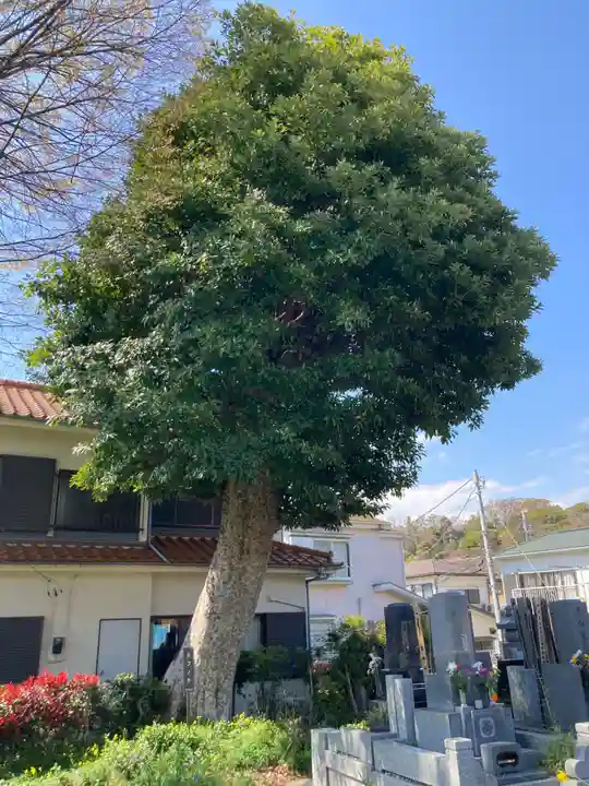 光明院(神奈川県)