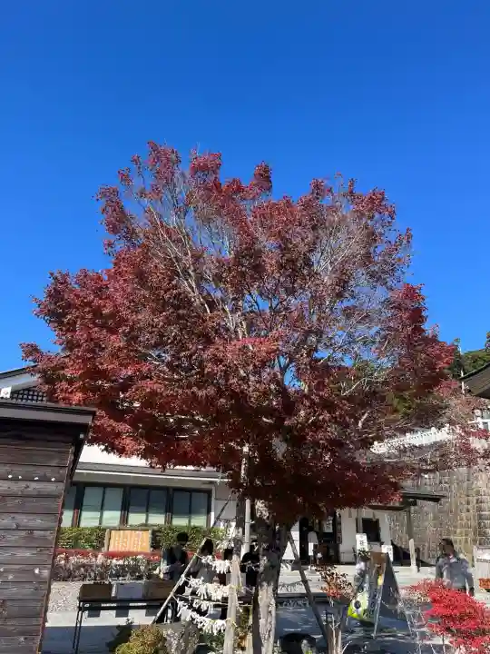 秋葉山本宮 秋葉神社 上社(静岡県)