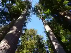 御杖神社の自然