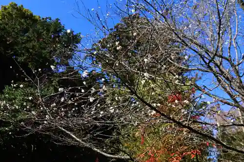 開成山大神宮の庭園