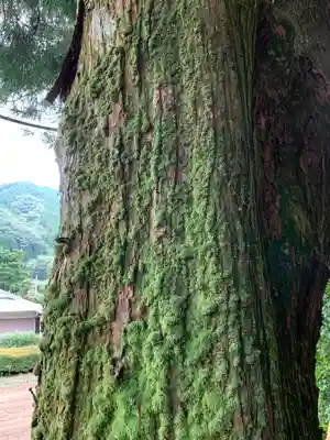 姫宮神社(栃木県)