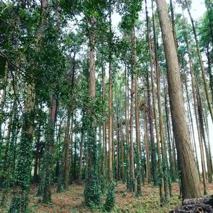 戸隠神社の自然