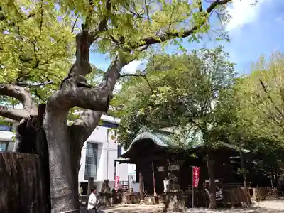 阿邪訶根神社(福島県)