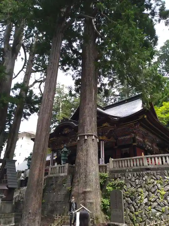 三峯神社の自然