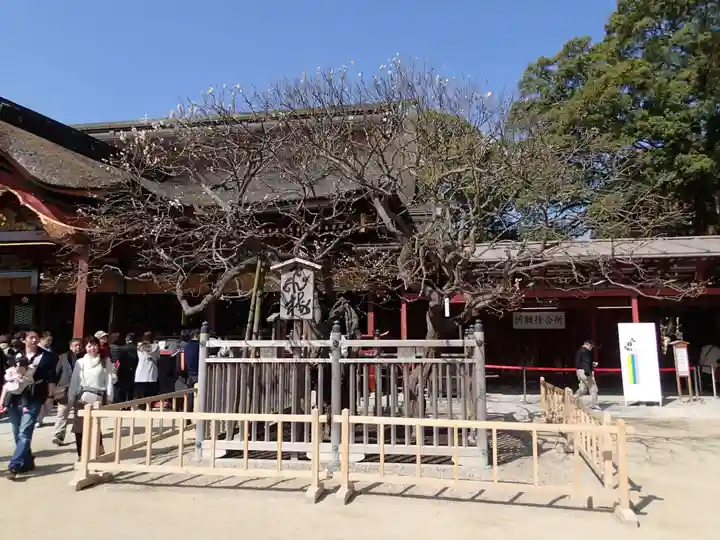 太宰府天満宮の自然