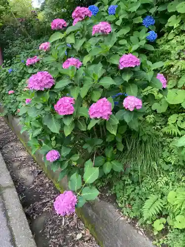 回春院(神奈川県)