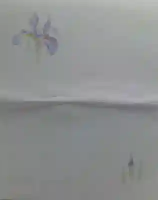 荻窪白山神社(東京都)