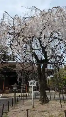 大報恩寺（千本釈迦堂）(京都府)