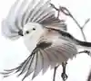 めあ