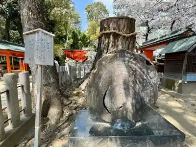 生田神社(兵庫県)