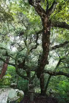 大照院(山口県)