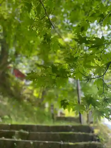 養父神社の自然