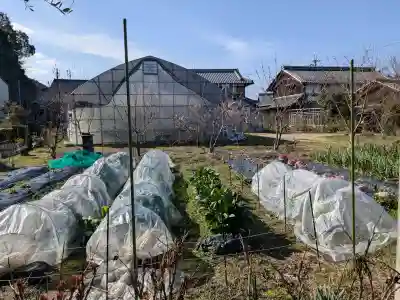 玉林寺の{uncategorized: "未分類", other: "その他", undefined: "問題あり", building: "その他建物", grave: "お墓", sacred_gate: "鳥居", guardian: "狛犬", statue: "像", buddha: "仏像", history: "歴史", nature: "自然", garden: "庭園", animal: "動物", pagoda: "塔", temizu: "手水舎", mountain_gate: "山門・神門", sanctuary: "本殿・本堂", subordinate: "末社・摂社", art: "芸術", scenery: "景色", jizo: "地蔵", ema: "絵馬", goshuin: "御朱印", omikuji: "おみくじ", items: "授与品その他", amulet: "お守り", goshuincho: "御朱印帳", eats: "食事", festival: "お祭り", votive_dance: "神楽", shichigosan: "七五三参", wedding: "結婚式", experience: "体験その他", initially: "初詣", around: "周辺", anti_infection: "感染症対策"}