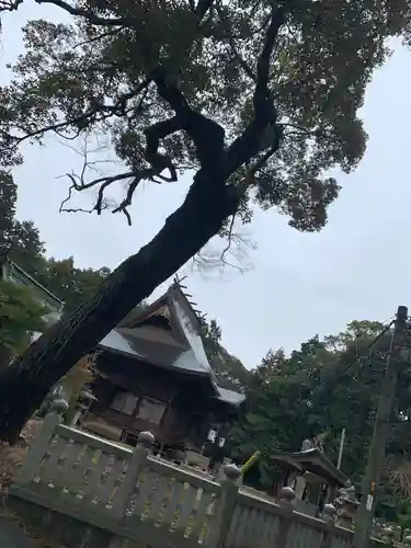 恒石八幡宮の本殿