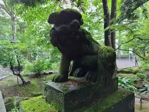 比布神社の狛犬