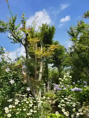 石都々古和気神社(福島県)