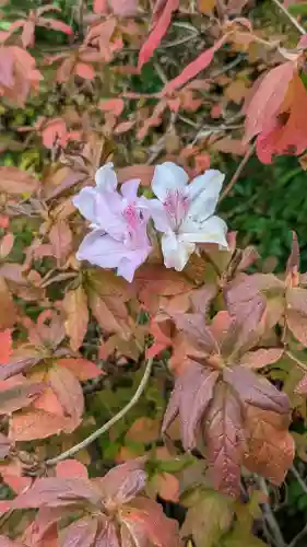 光悦寺(京都府)