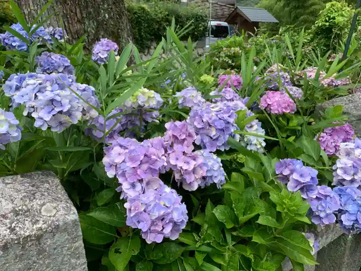 若狭野天満神社の自然