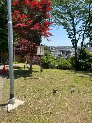 城山八幡宮(愛知県)
