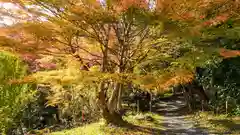 十輪寺(京都府)