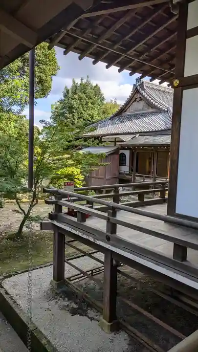 大覚寺(京都府)
