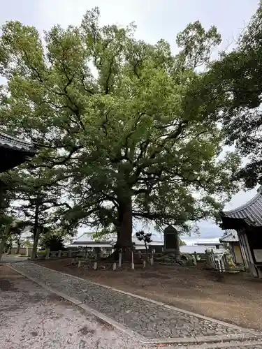 白峰宮(香川県)