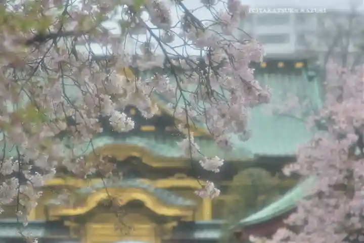 上野東照宮(東京都)