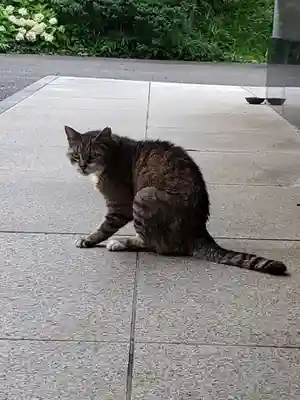 白金氷川神社(東京都)