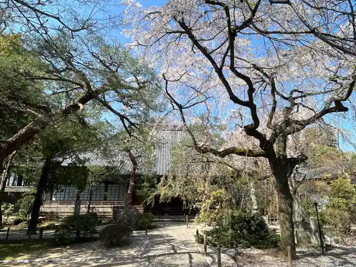 中院の{uncategorized: "未分類", other: "その他", undefined: "問題あり", building: "その他建物", grave: "お墓", sacred_gate: "鳥居", guardian: "狛犬", statue: "像", buddha: "仏像", history: "歴史", nature: "自然", garden: "庭園", animal: "動物", pagoda: "塔", temizu: "手水舎", mountain_gate: "山門・神門", sanctuary: "本殿・本堂", subordinate: "末社・摂社", art: "芸術", scenery: "景色", jizo: "地蔵", ema: "絵馬", goshuin: "御朱印", omikuji: "おみくじ", items: "授与品その他", amulet: "お守り", goshuincho: "御朱印帳", eats: "食事", festival: "お祭り", votive_dance: "神楽", shichigosan: "七五三参", wedding: "結婚式", experience: "体験その他", initially: "初詣", around: "周辺", anti_infection: "感染症対策"}