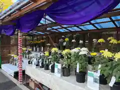 諏訪神社(東京都)