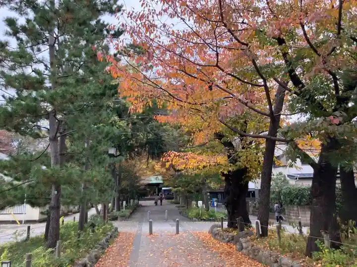 淨眞寺(東京都)