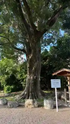 石坐神社(滋賀県)