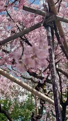 水火天満宮(京都府)