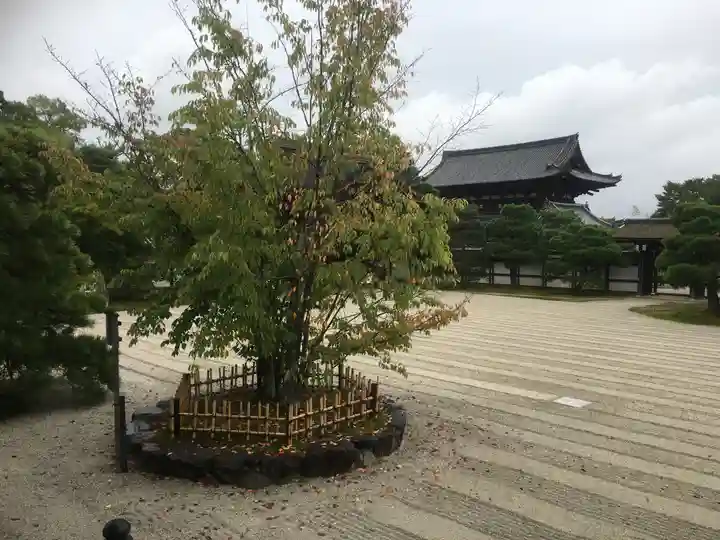 仁和寺の庭園