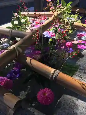 住吉神社の手水舎