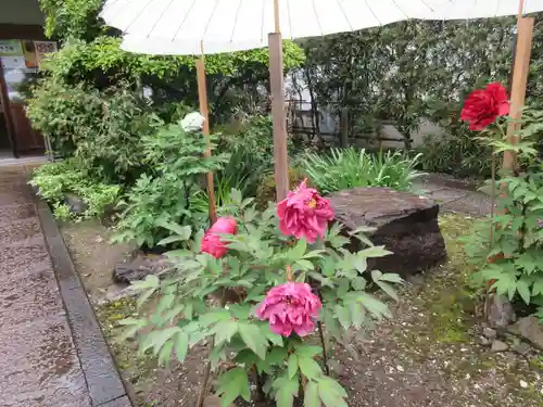 國分寺(高知県)