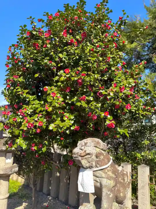 崇道天皇社(奈良県)