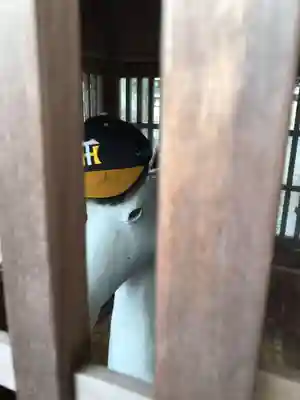 尾鷲神社(三重県)