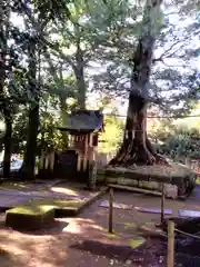 諏訪神社(東京都)