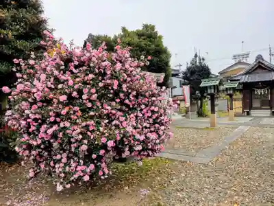 幸宮神社(埼玉県)