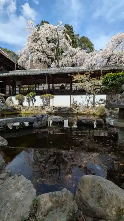 十輪寺(京都府)