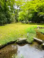 賀茂別雷神社（上賀茂神社）(京都府)